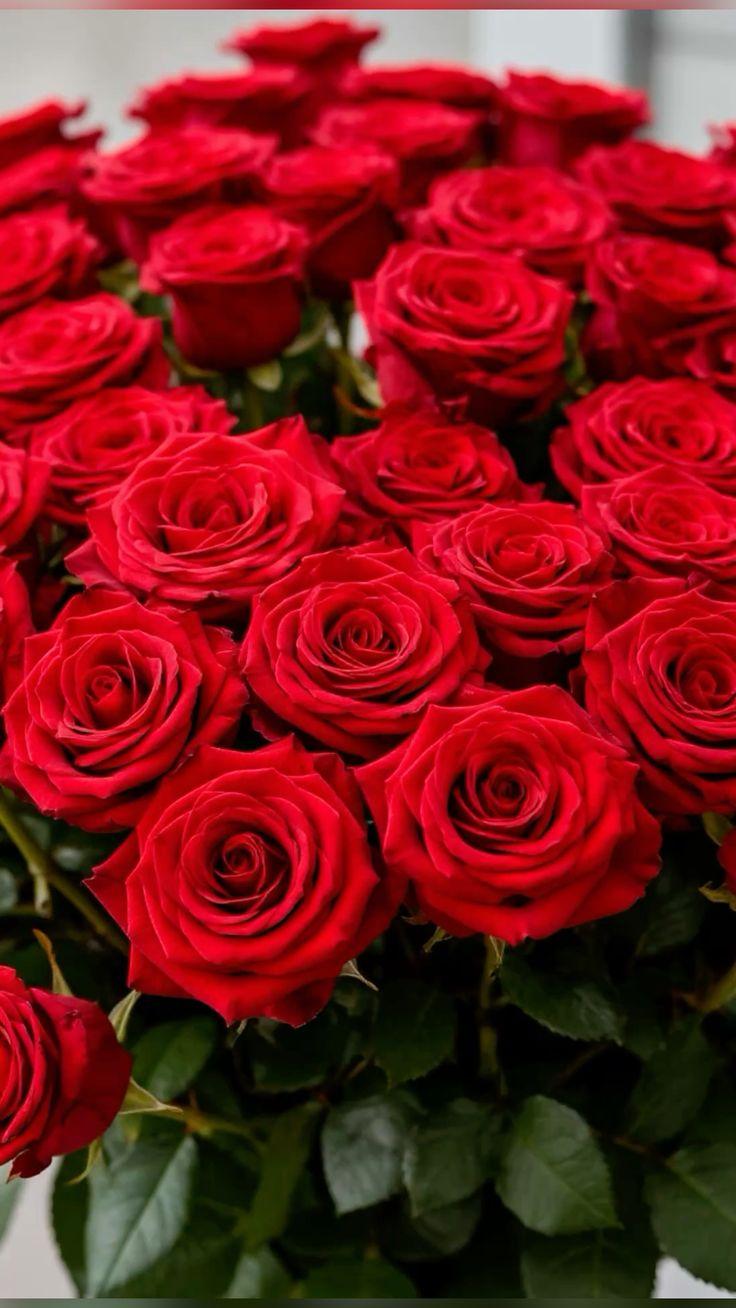 Professional floral arrangement in modern corporate setting